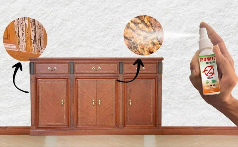 Termite Spray ( BUY 1 GET 2 FREE )